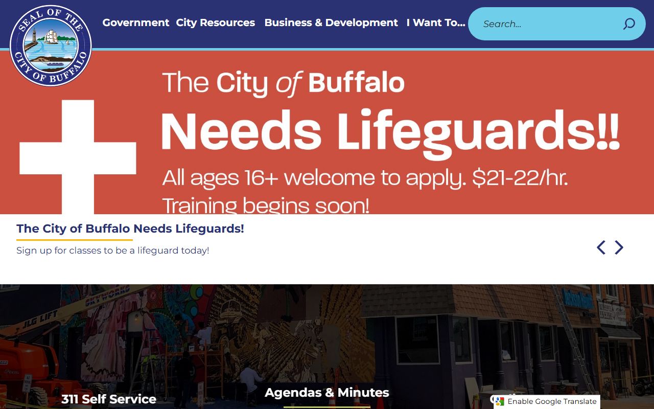 City of Buffalo official website for criminal records