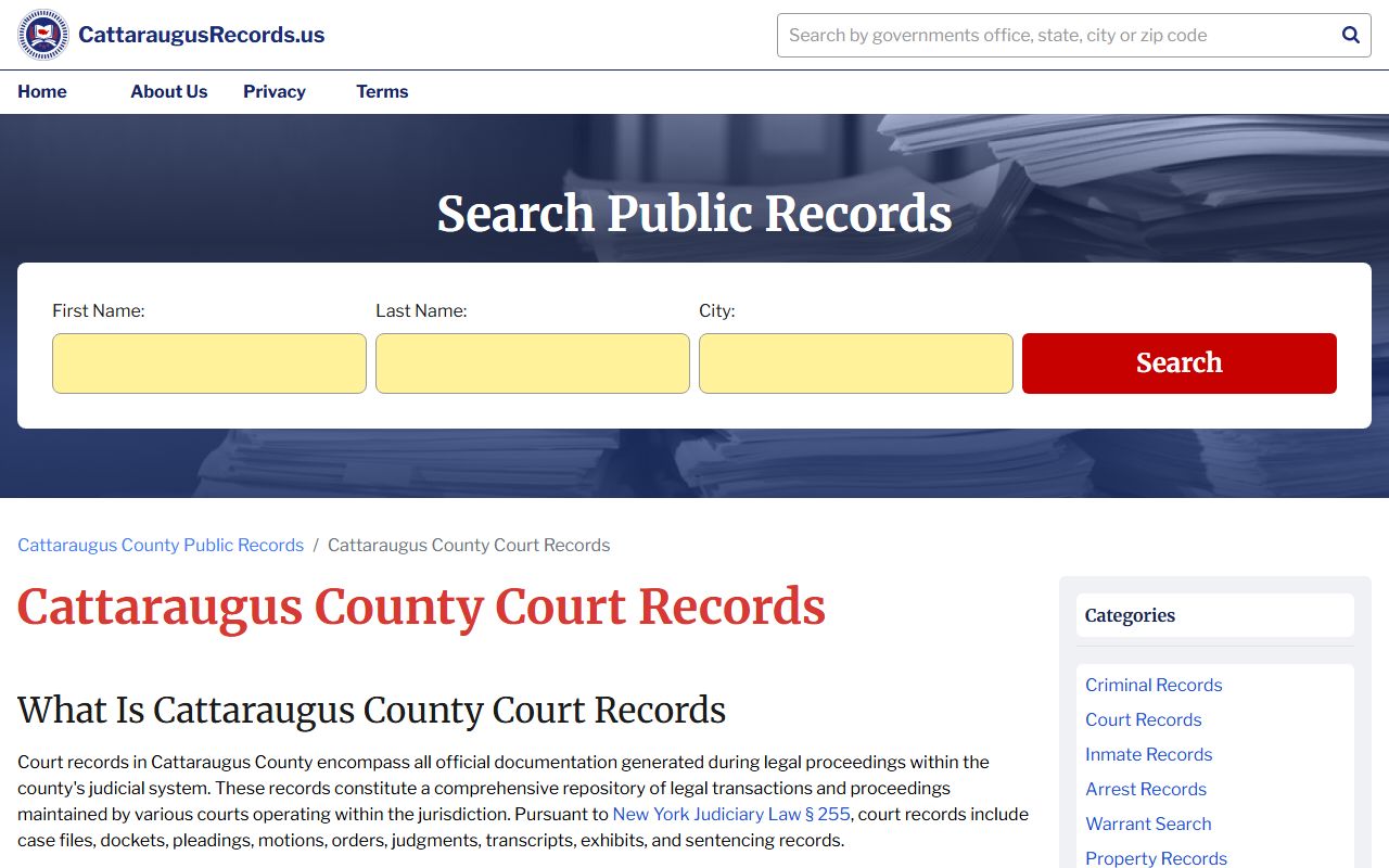 Cattaraugus County court records search for criminal records