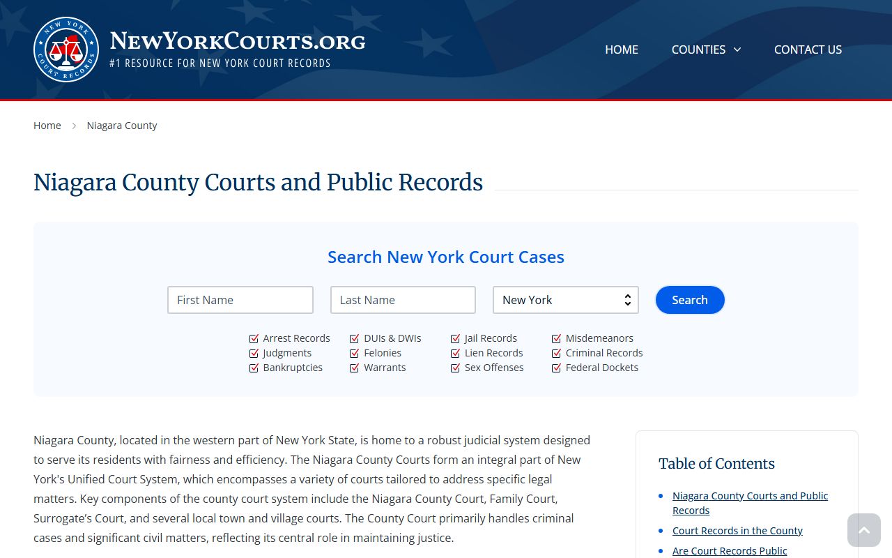 Niagara County court records for criminal case searches