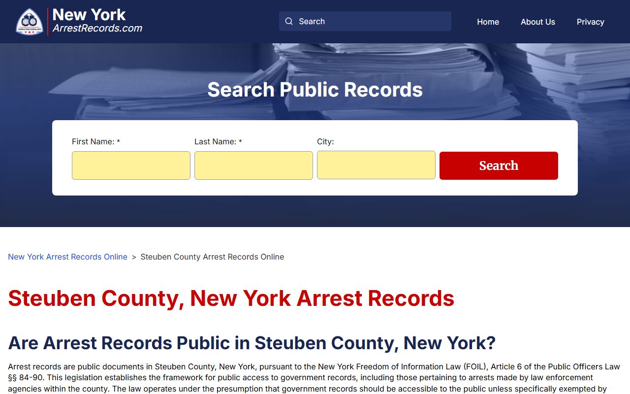 Steuben County criminal records access and search options